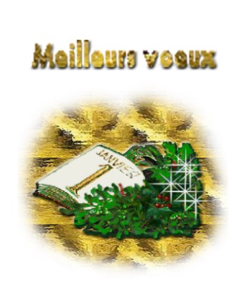 Voeux 2018 Voeux 2018